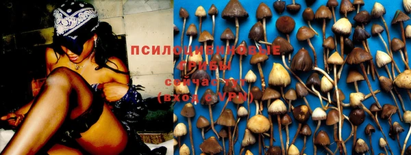 трава Абдулино