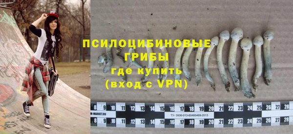 ешки Абаза