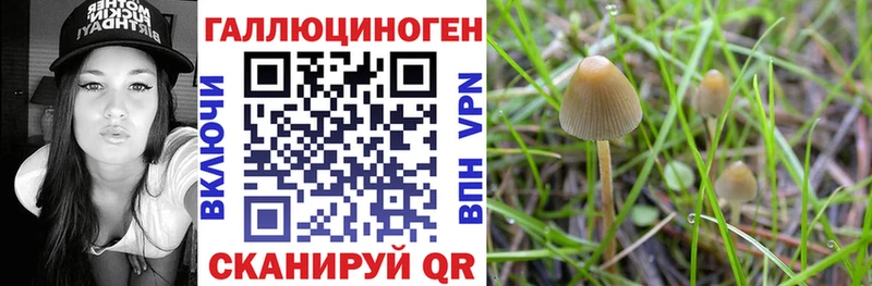 магазин продажи наркотиков Инза Псилоцибиновые грибы мухоморы